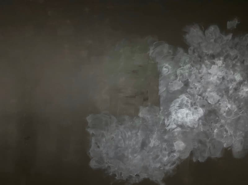 S__268992516